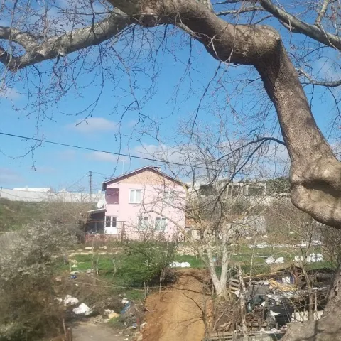 Subaşı Köy Kahvesi, Çatalca, İstanbul — Kafe ve Pastane