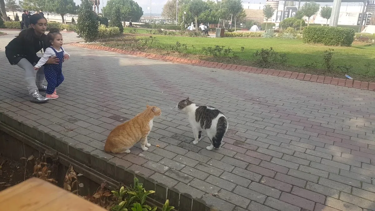 Bolu Yöre Evi, Büyükçekmece