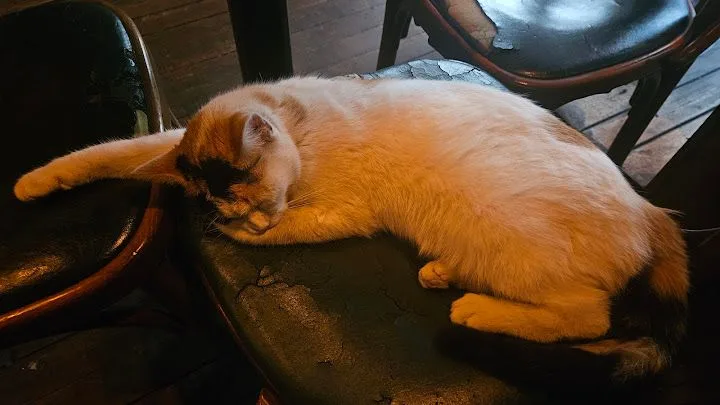 Revolte Pub, Kadıköy