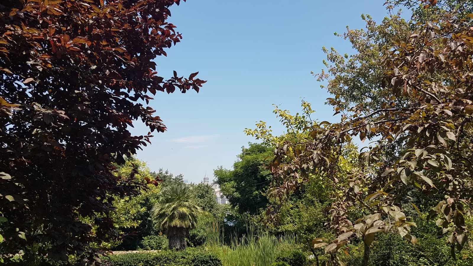 Alfred Heilbronn Botanik Bahçesi, Fatih, İstanbul — Park ve Doğa