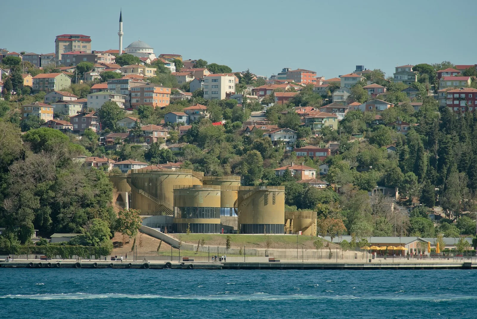 Çubuklu Korusu, Beykoz