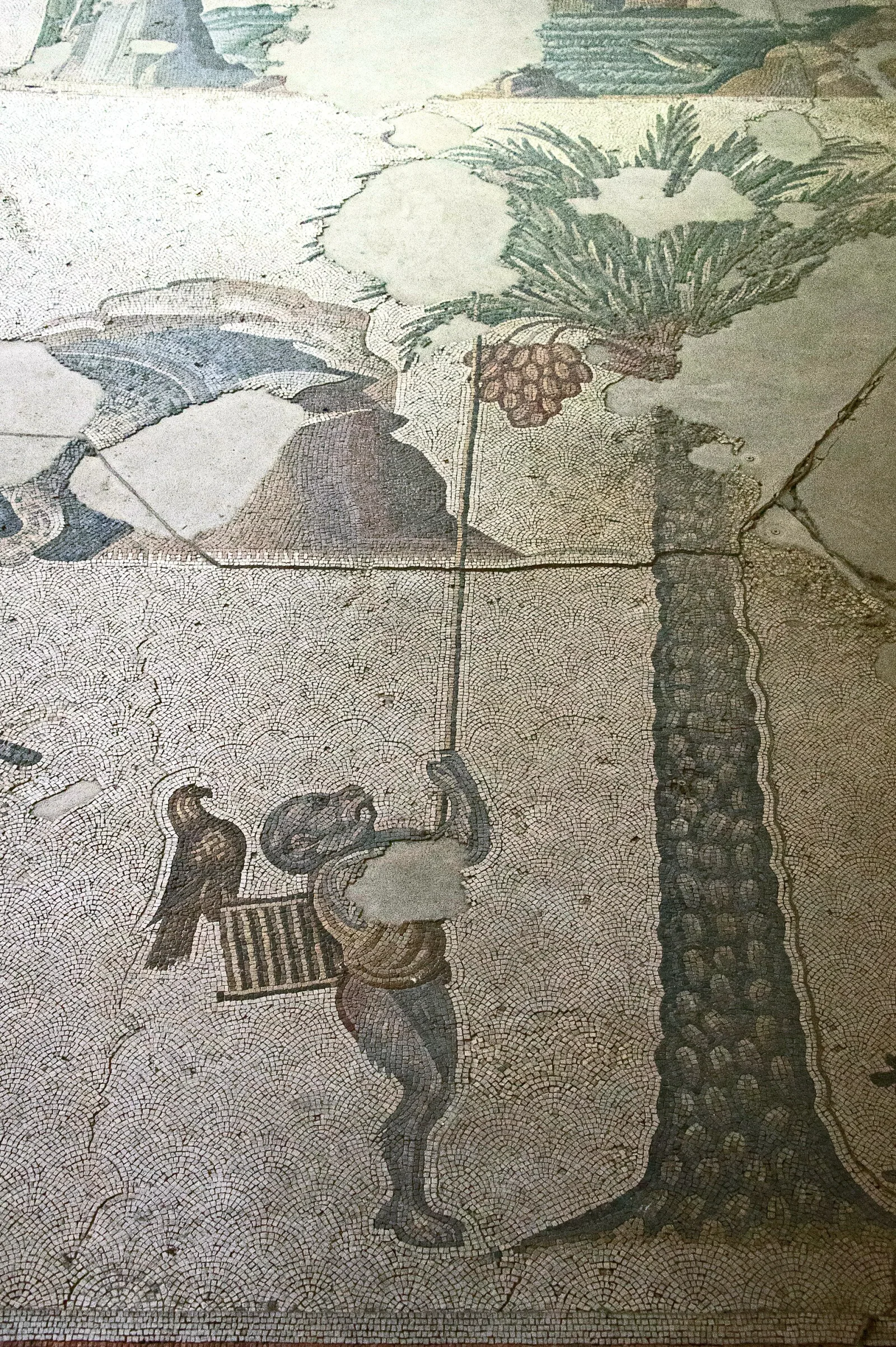 Monkey Istanbul, Beyoğlu