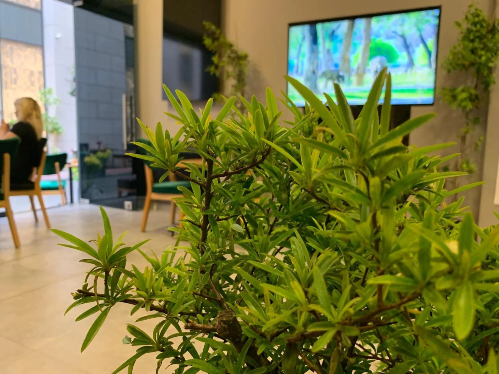 Diamond Hotel Taksim, Beyoğlu, İstanbul — Otel