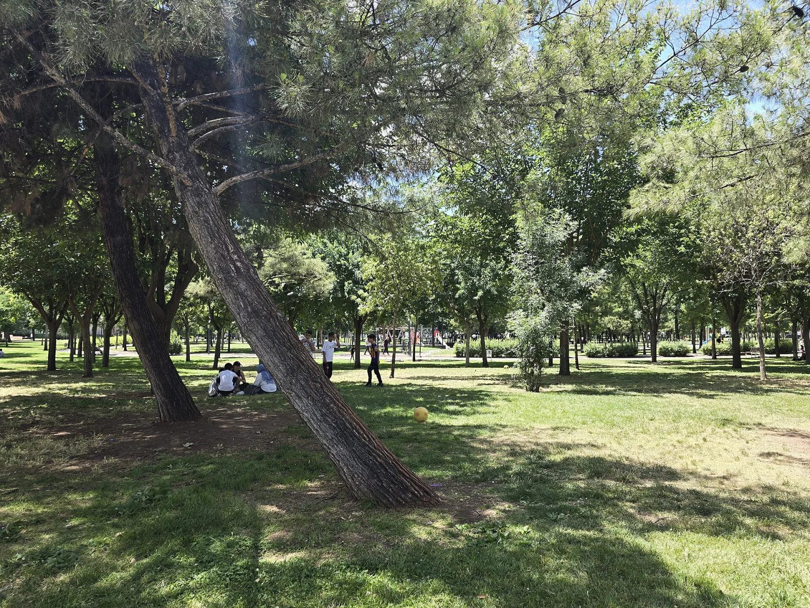 Parkorman, Sarıyer