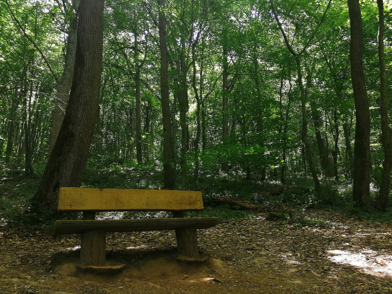 Neşetsuyu Tabiat Parkı, Sarıyer, İstanbul — photo