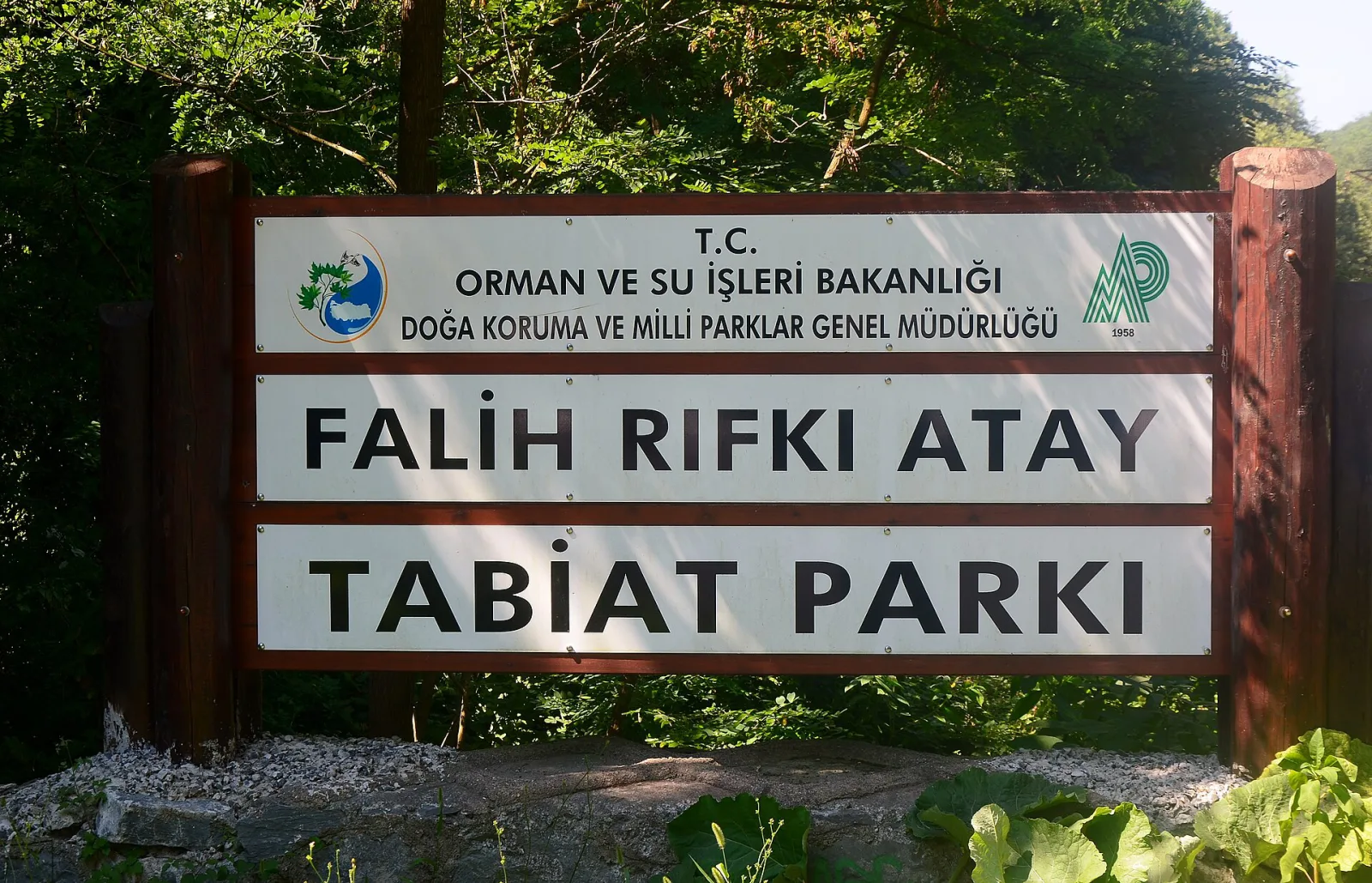 Falih Rıfkı Atay Tabiat Parkı, Sarıyer