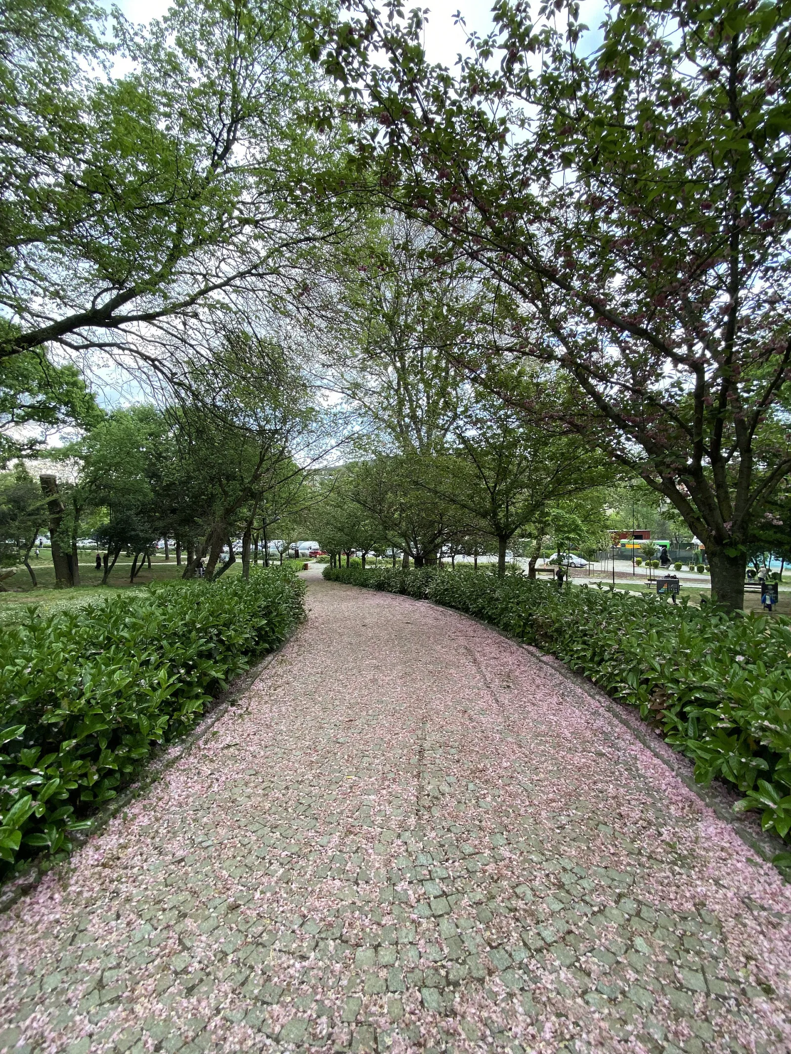Küçük Çamlıca Korusu, Üsküdar