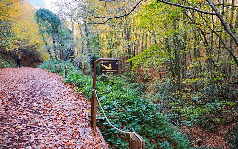 Polonezköy Tabiat Parkı, Beykoz