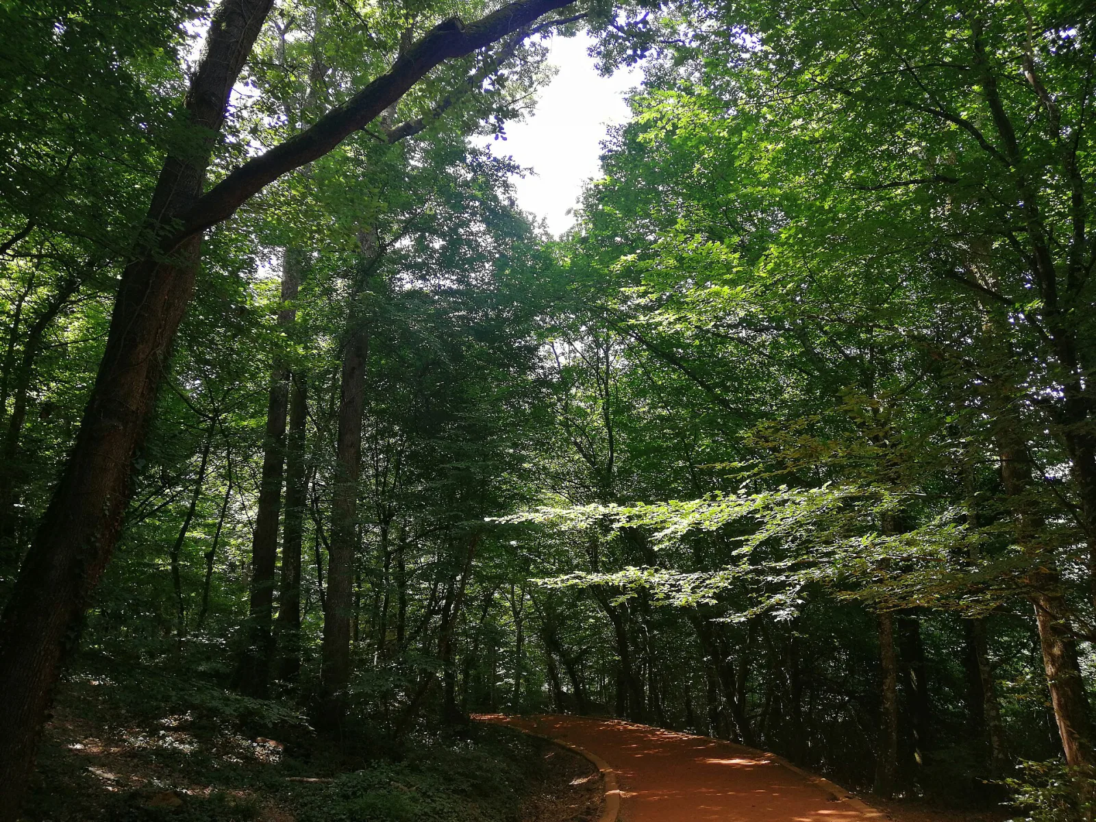 Neşetsuyu Tabiat Parkı, Sarıyer, İstanbul — Park ve Doğa
