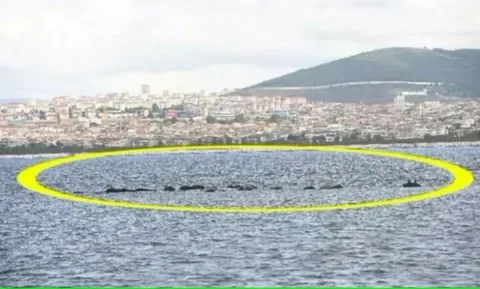 Vordonos Adaları, Maltepe