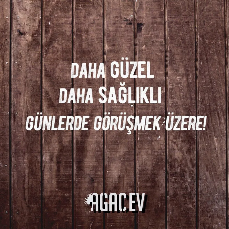 Ağaç Ev, Kadıköy