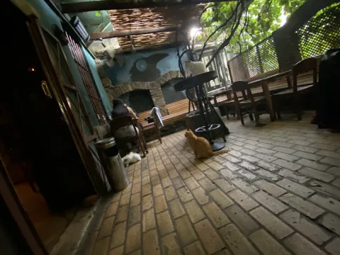 Karga, Kadıköy
