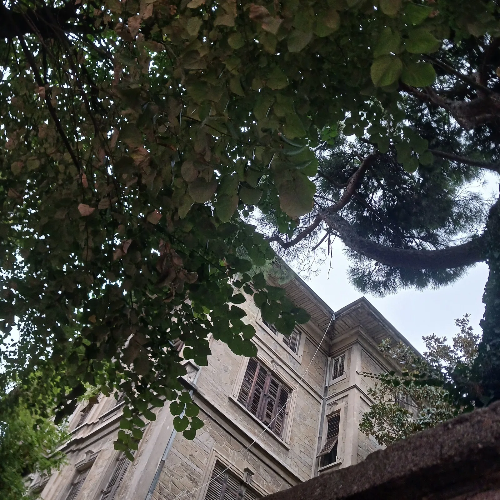Sarıca Apartmanı, Kadıköy, İstanbul