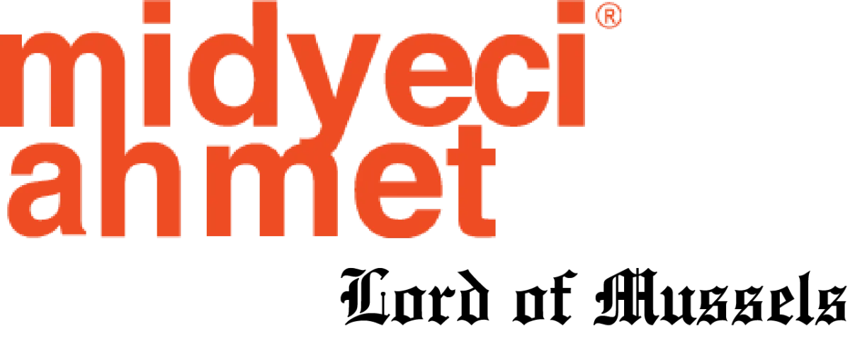 Midyeci Ahmet, Beşiktaş
