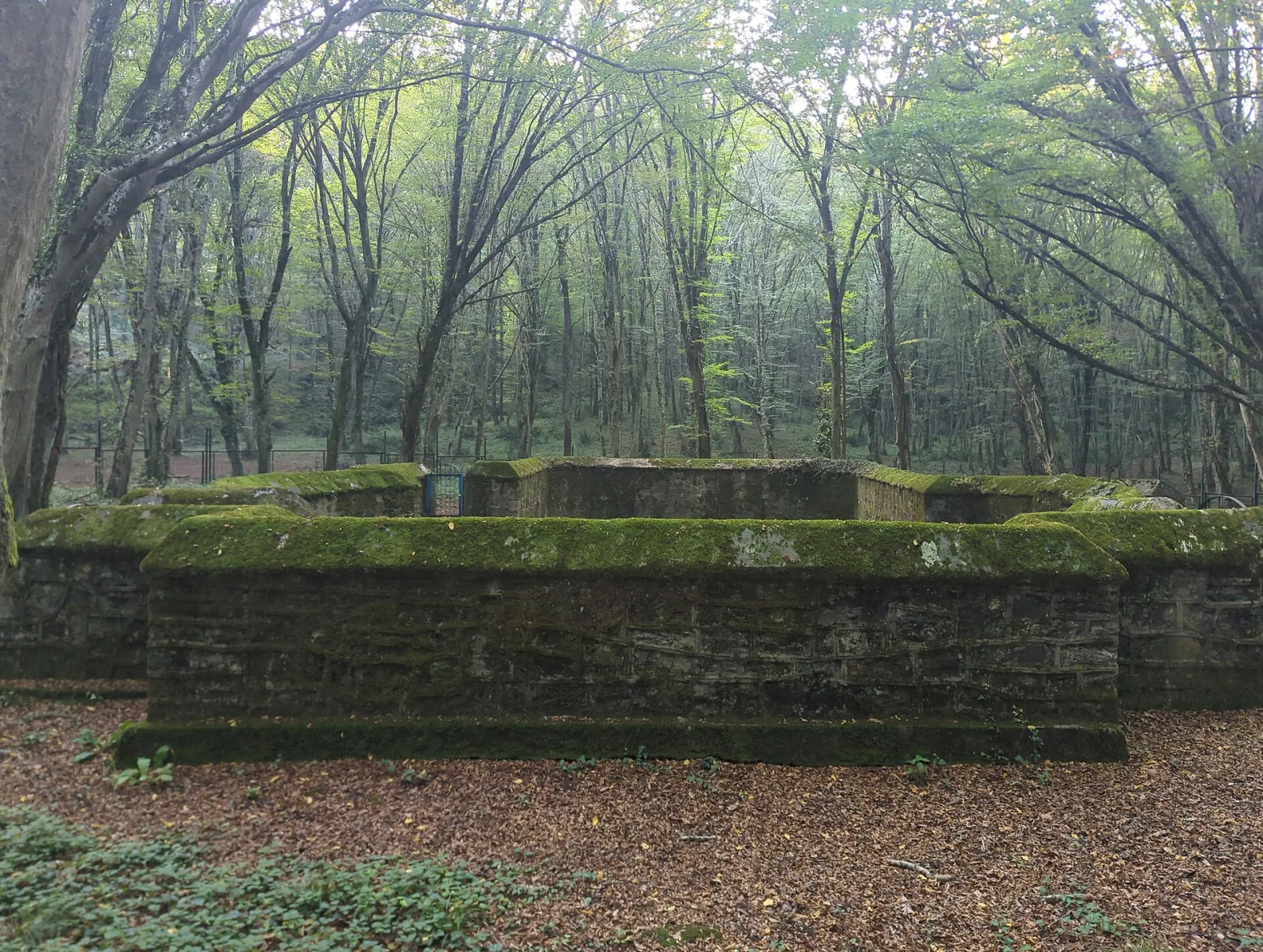 Belgrad Ormanı, Sarıyer, İstanbul — Park ve Doğa