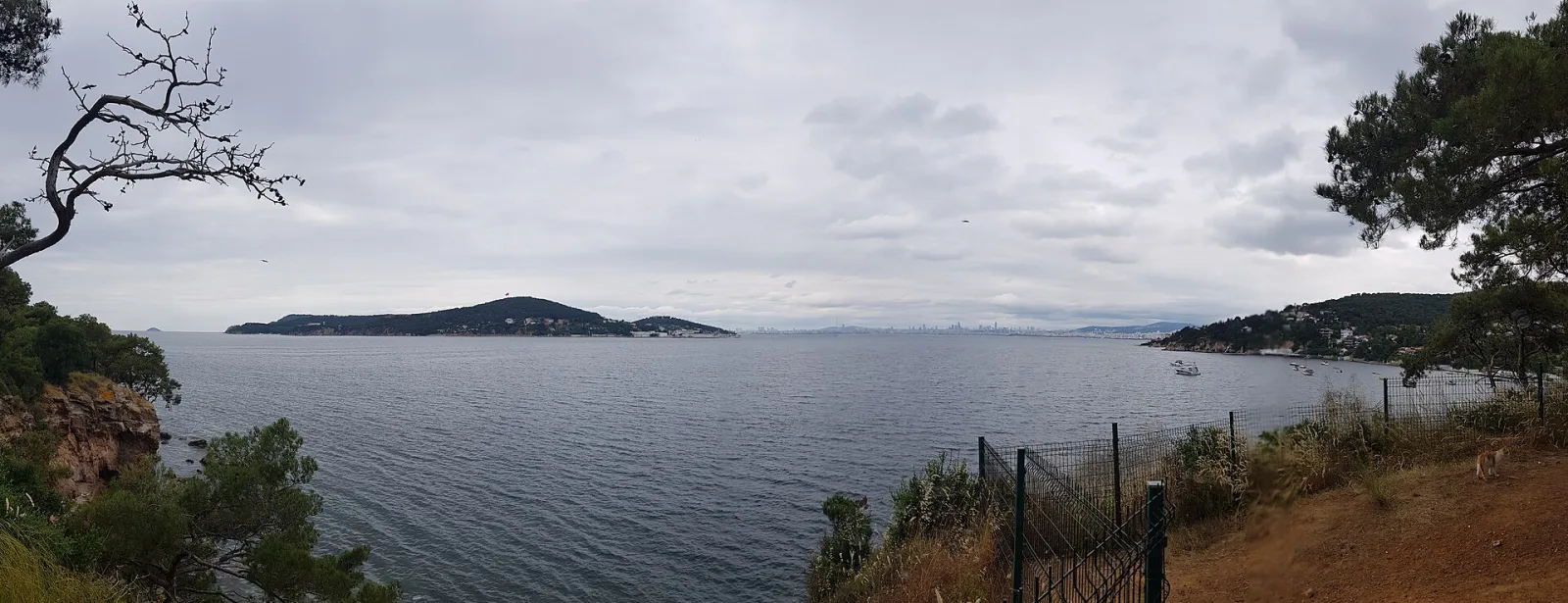 Dilburnu Tabiat Parkı, Adalar, İstanbul — photo