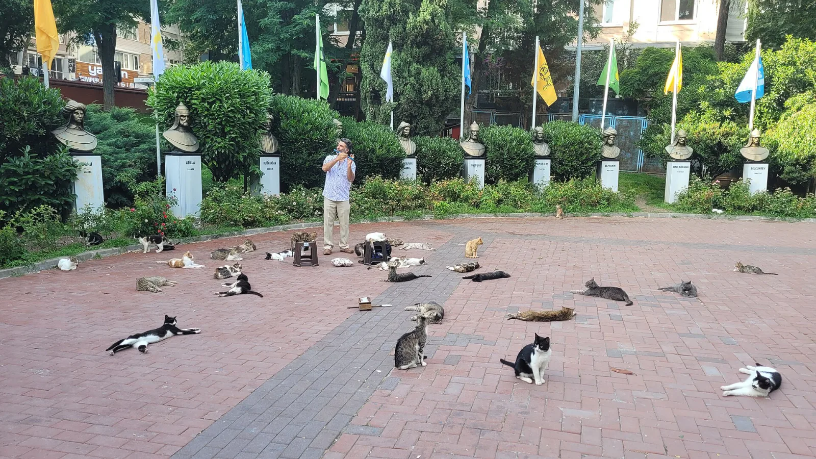 Must, Şişli, İstanbul
