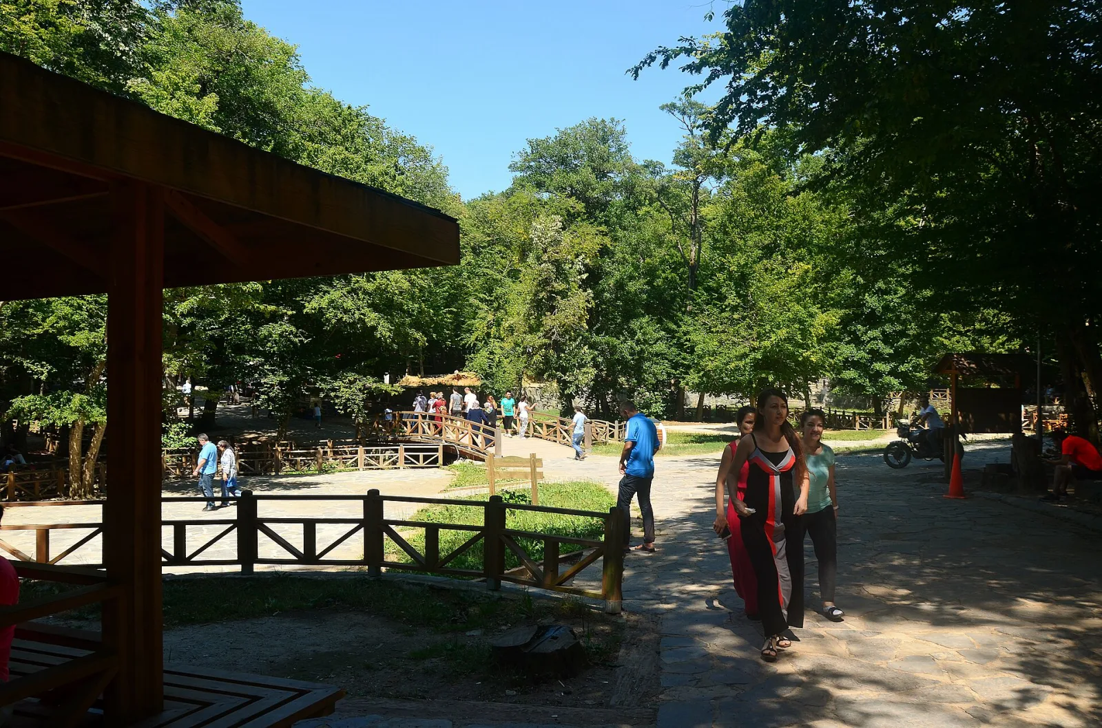 Neşetsuyu Tabiat Parkı, Sarıyer, İstanbul — photo