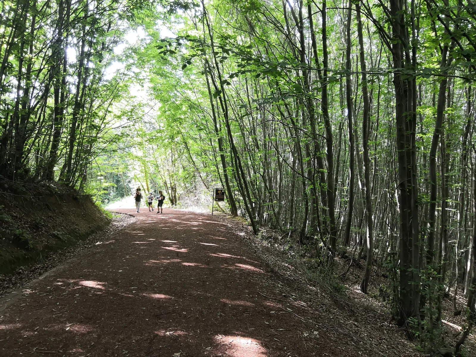 Polonezköy Tabiat Parkı, Beykoz, İstanbul — Park ve Doğa