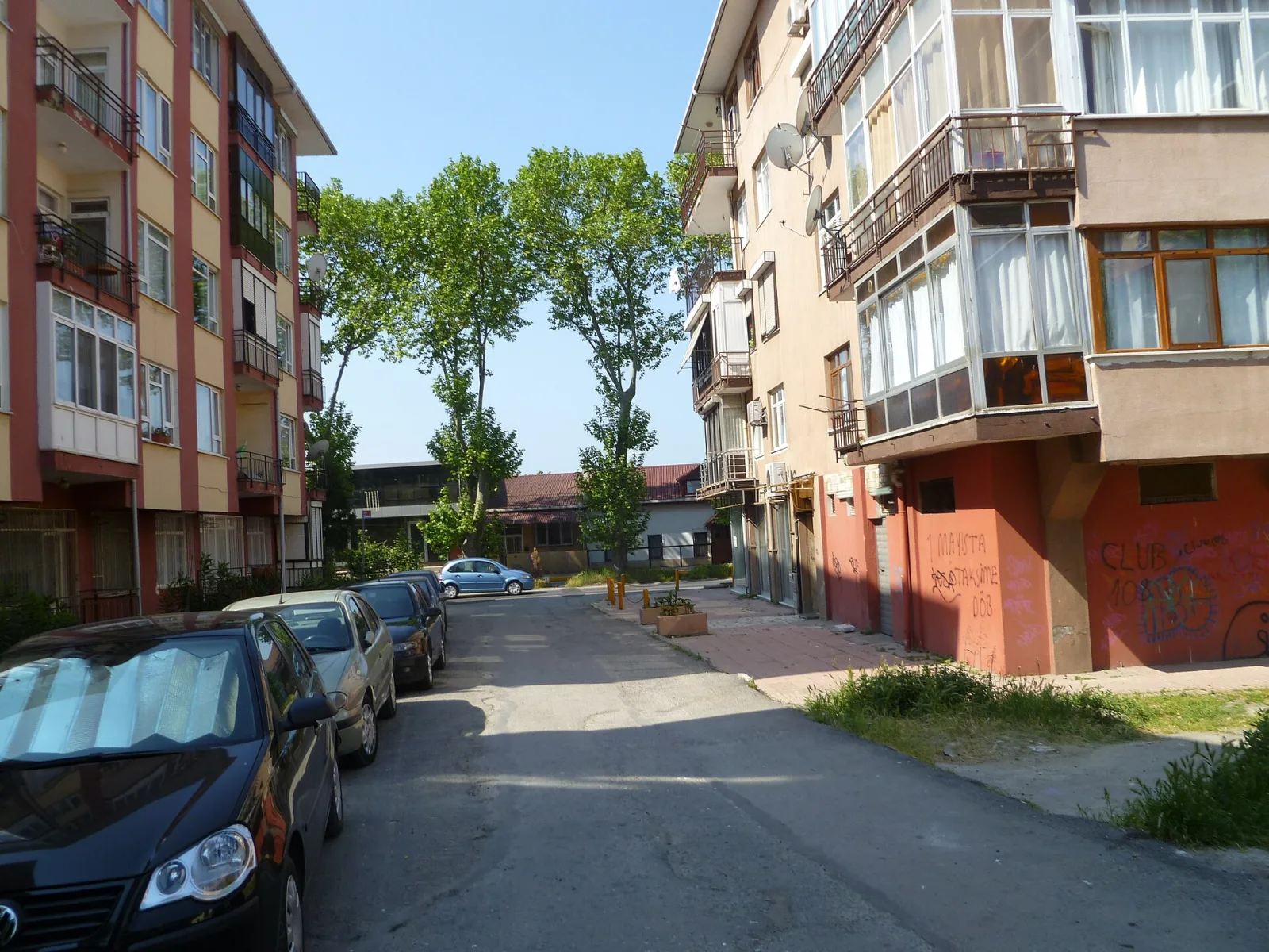 Palmiye, Beyoğlu, İstanbul