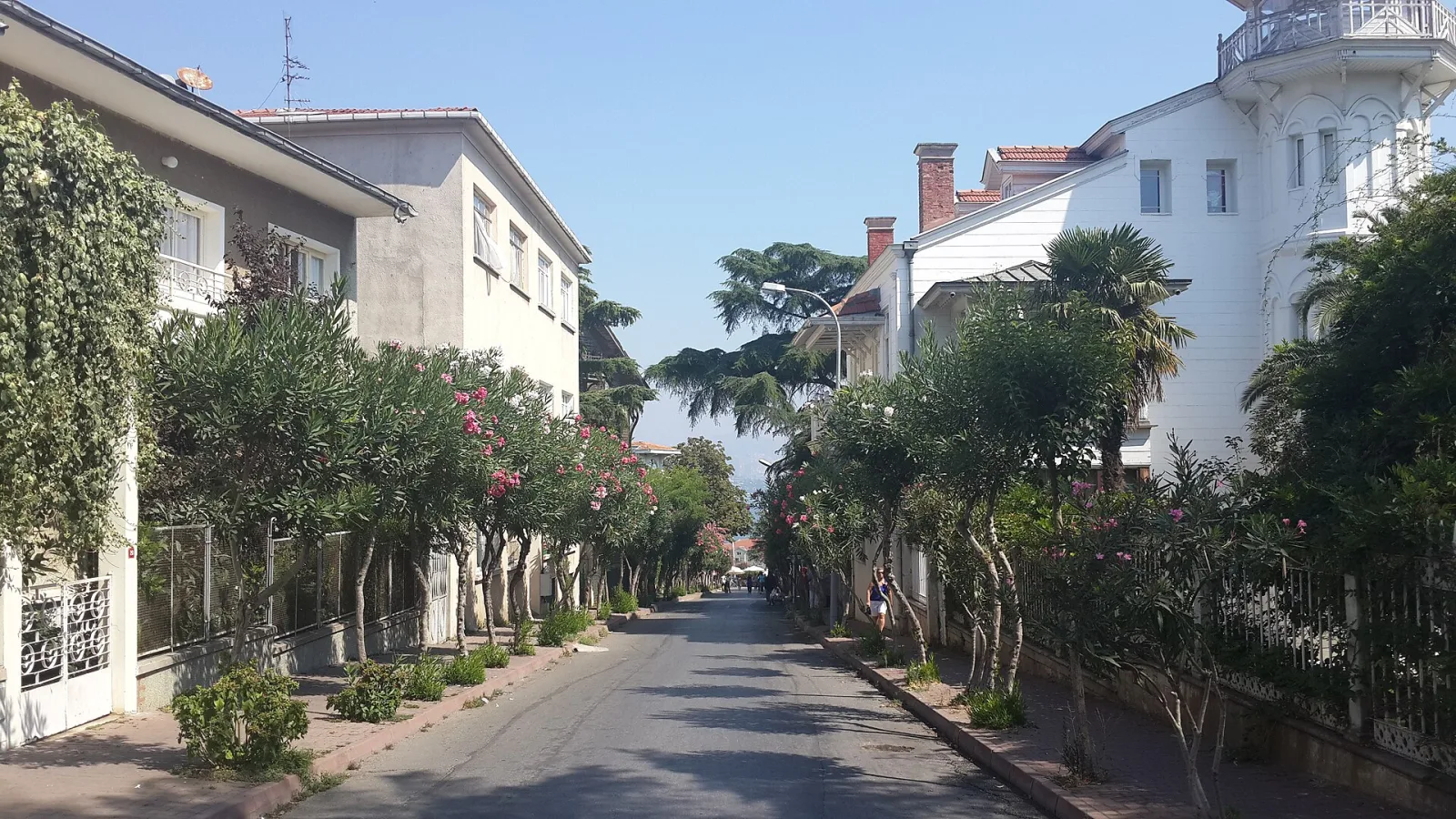 Palya, Adalar, İstanbul