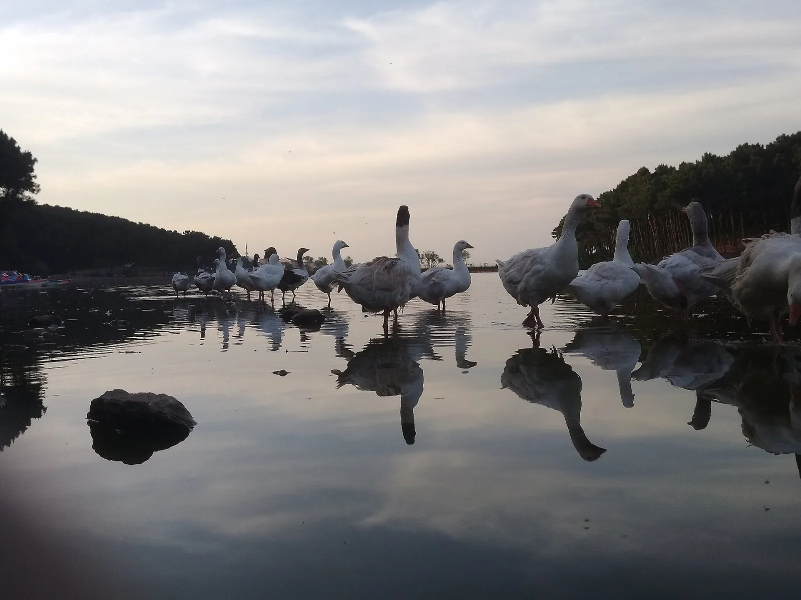 Aydos Ormanı, Sultanbeyli