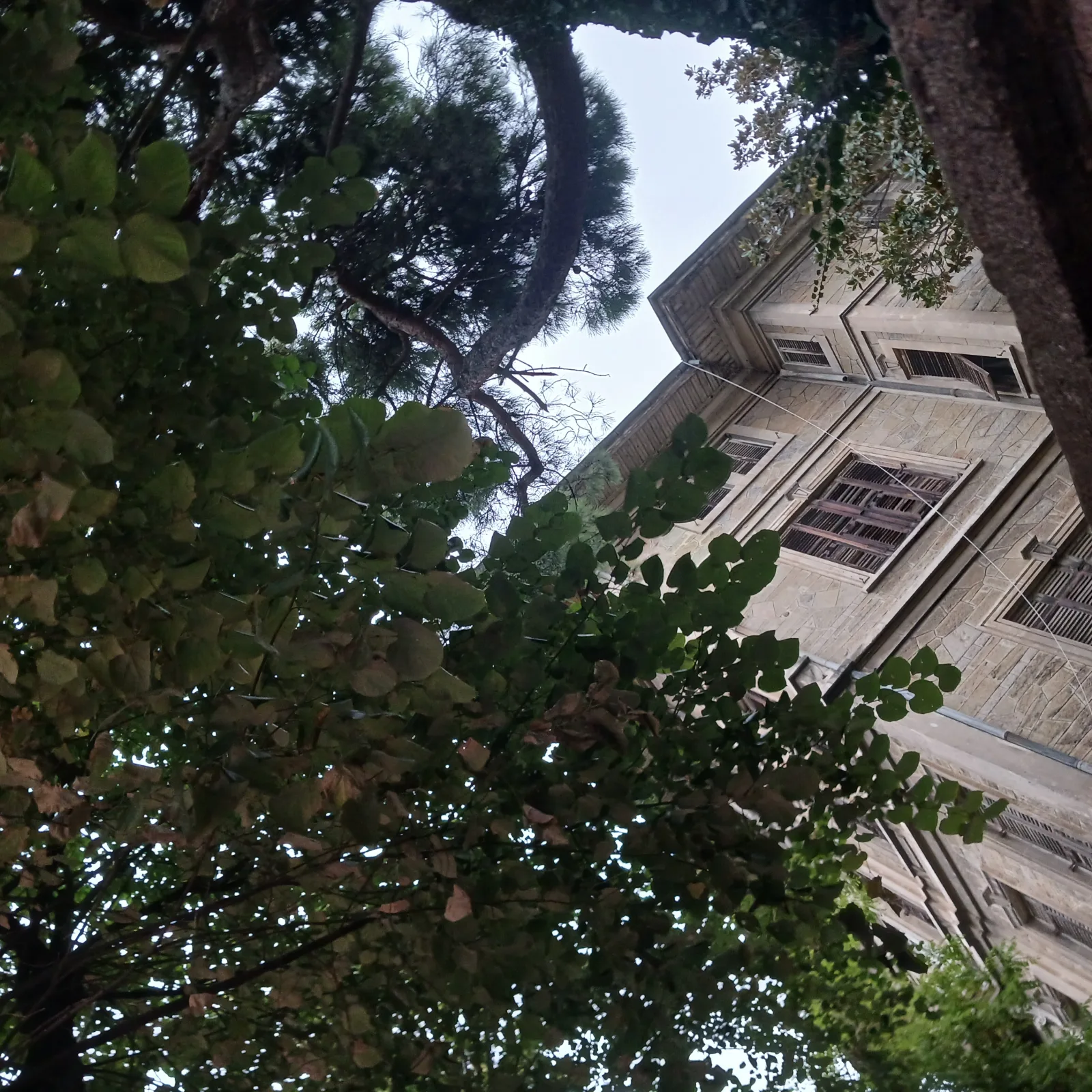 Sarıca Apartmanı, Kadıköy, İstanbul