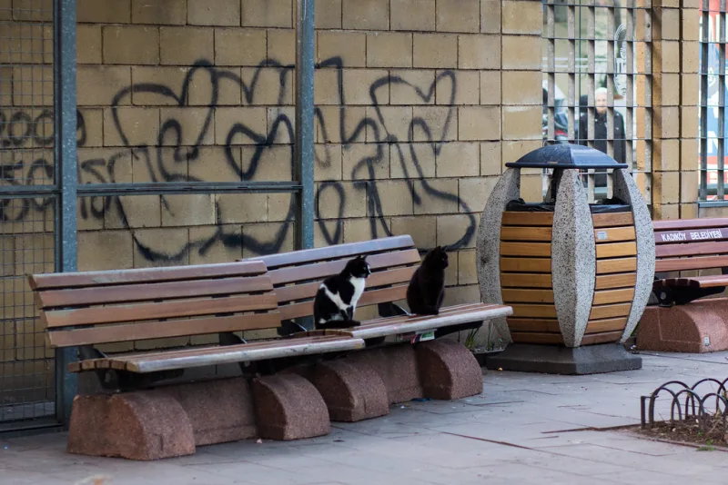 Özgürlük Parkı, Kadıköy, İstanbul — Park ve Doğa