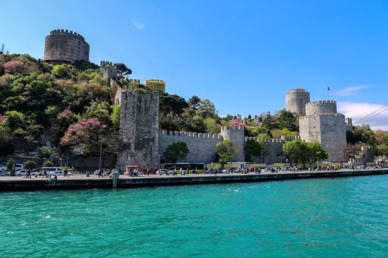 Ünlu Sarıyer, Bağcılar