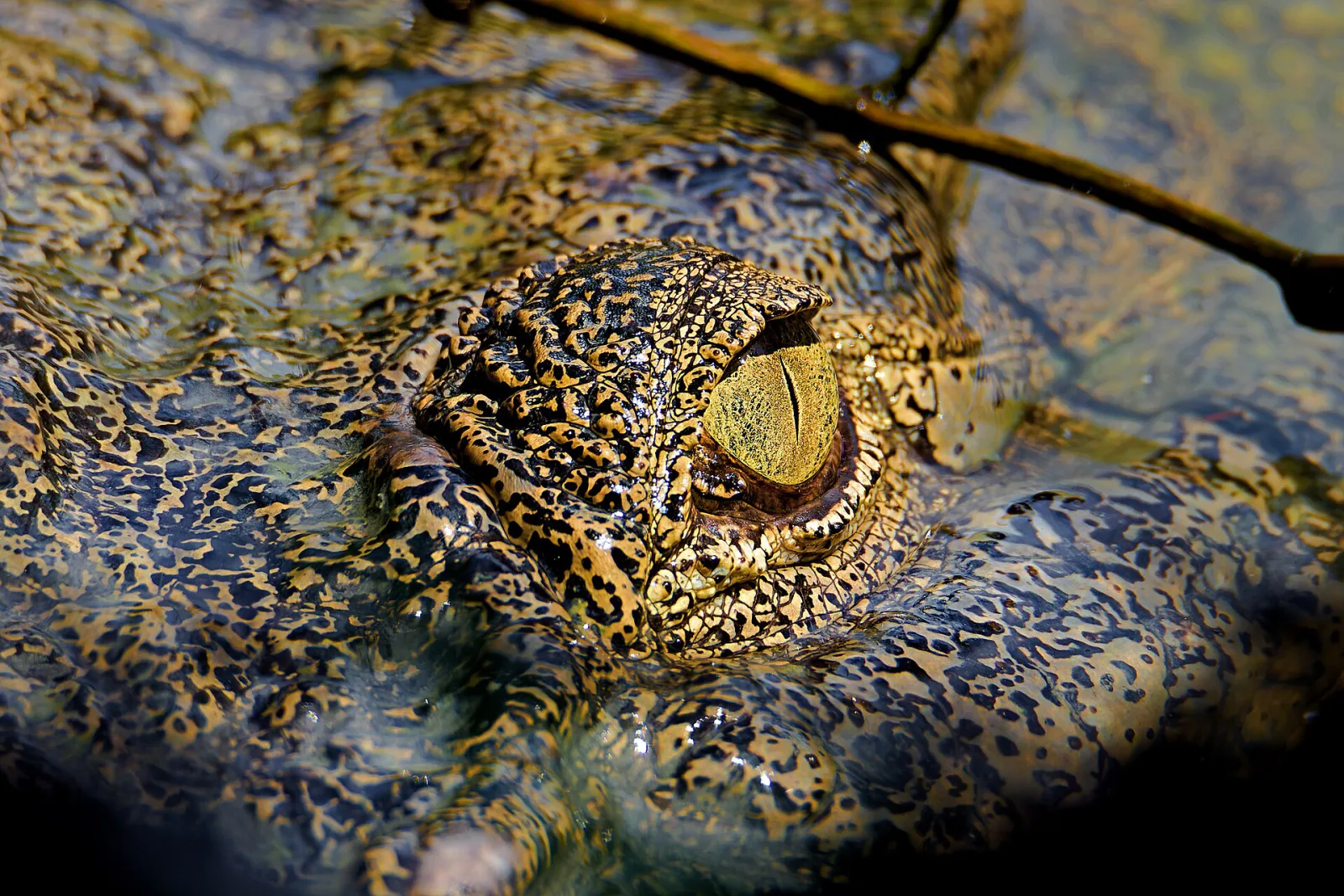Süper avcı, Avcılar, İstanbul — Tarihi Yapı