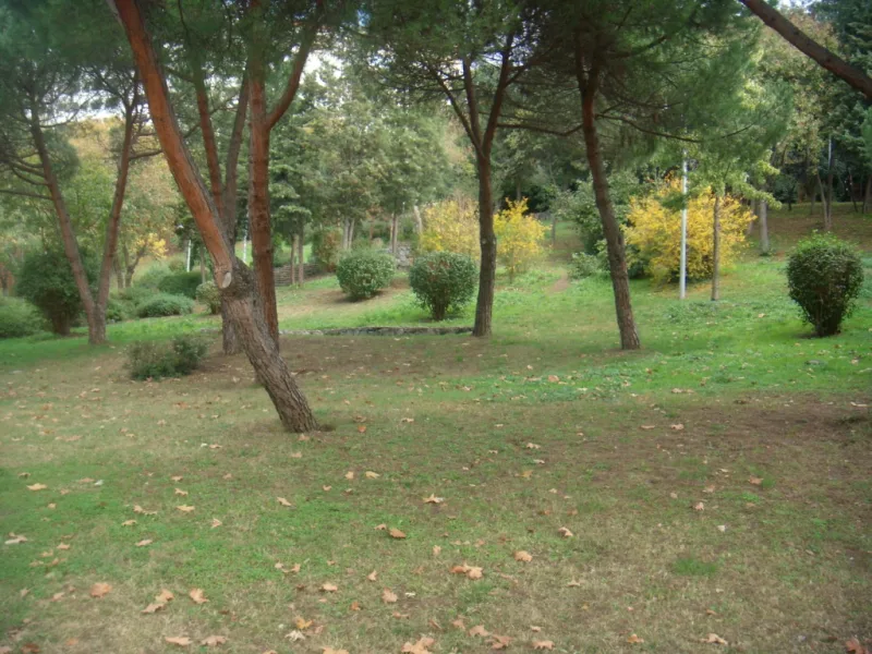 Maçka Demokrasi Parkı, Şişli, İstanbul — photo
