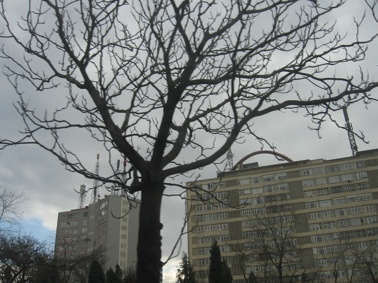 Emirgan İskelesi, Kâğıthane, İstanbul — photo