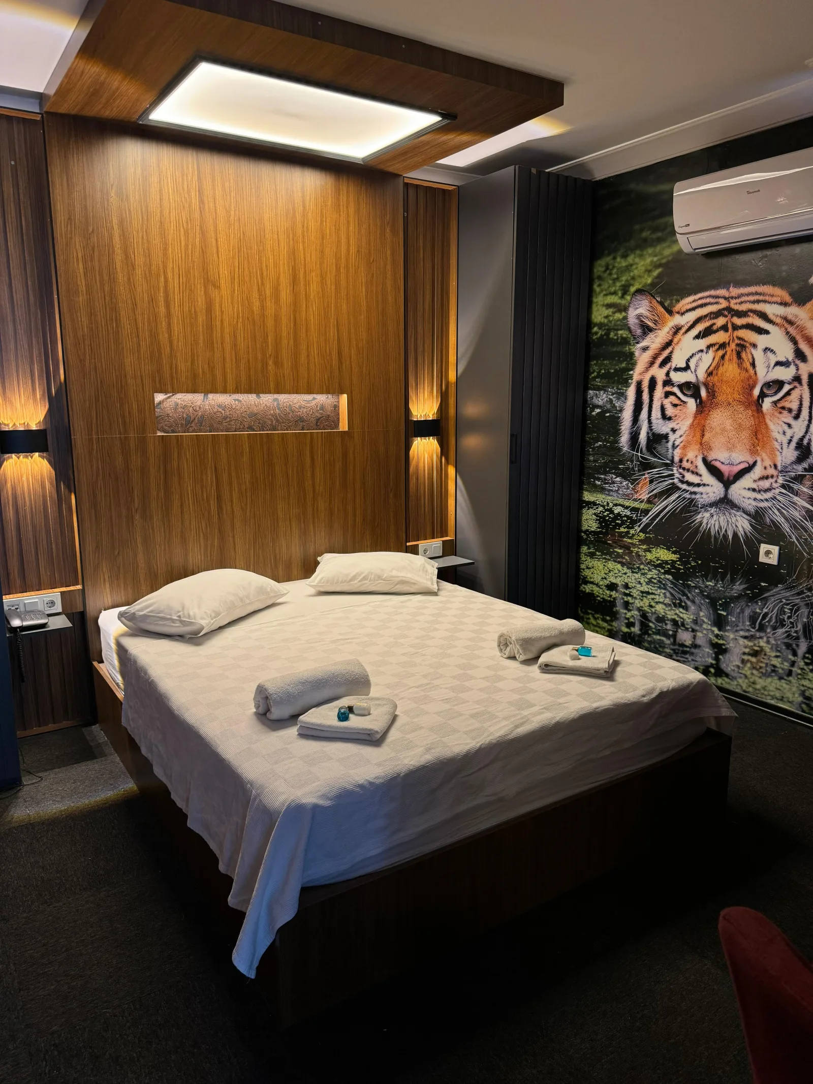 Lion Suite, Kartal, İstanbul — Otel