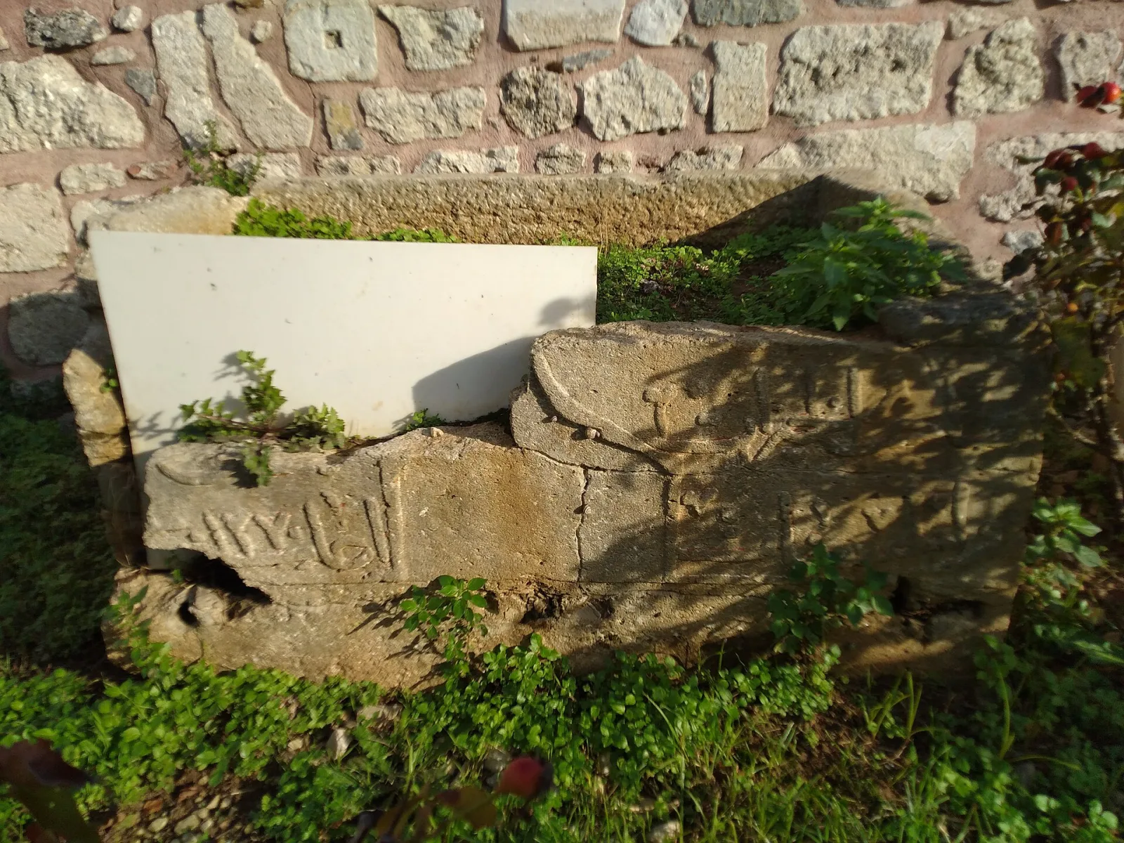 Ali Muhiddin Hacı Bekir, Kadıköy, İstanbul