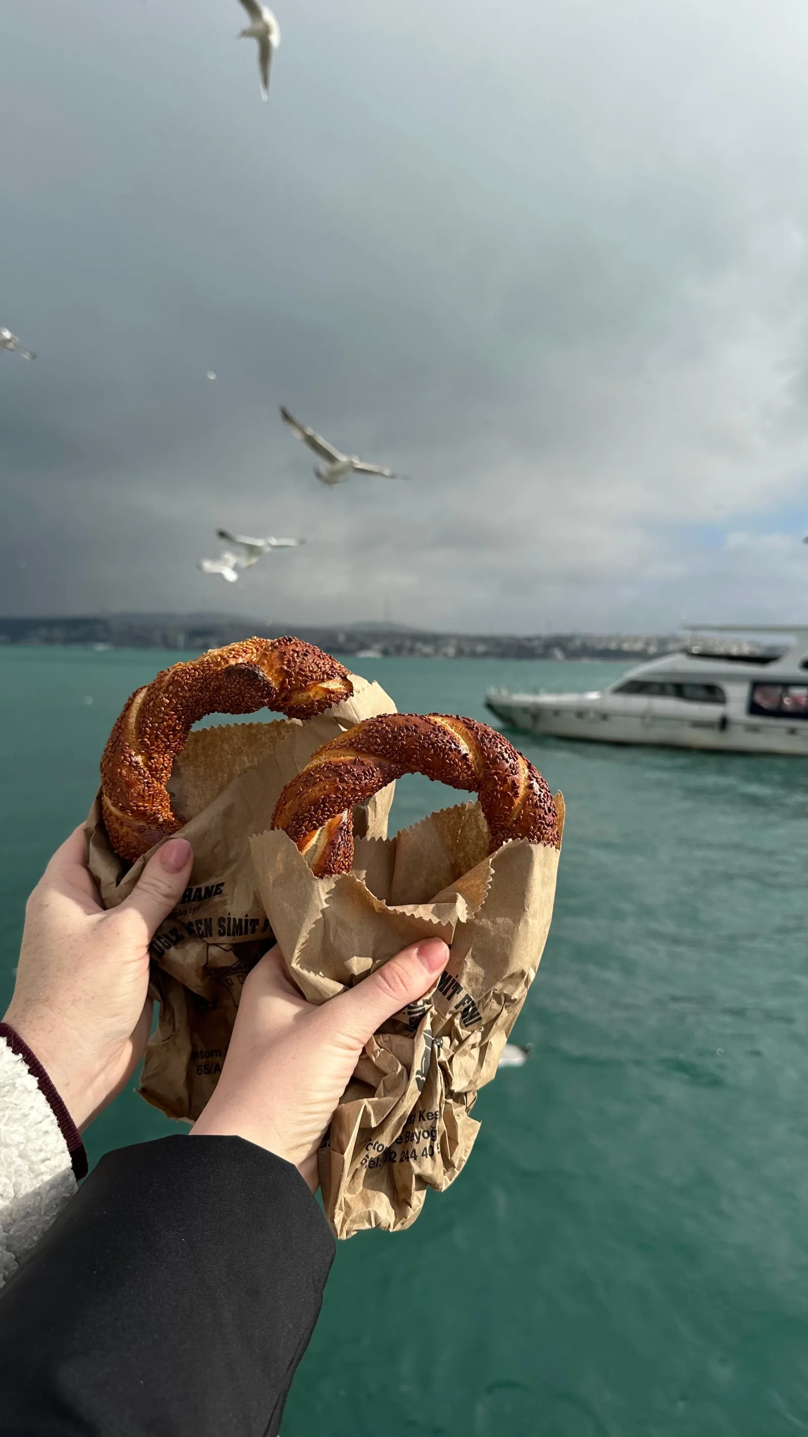 MVNCH, Arnavutköy