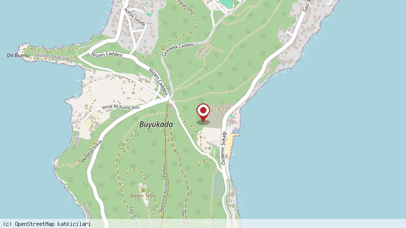 Büyükada Ada Turu konumunu gösteren harita
