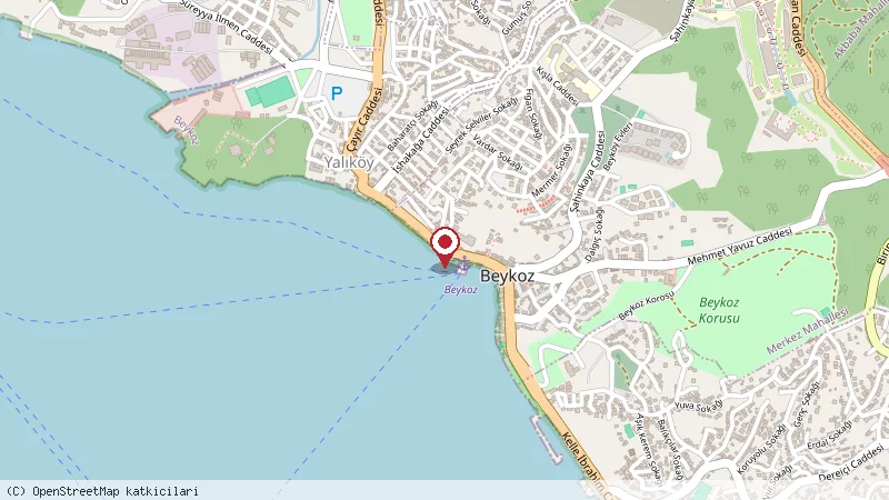 Dalyan Cafe konumunu gösteren harita